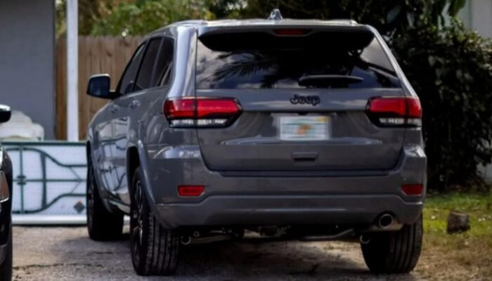 Apes! Emak-emak Didenda Rp 1,7 M Gegara Parkir Mobil di Rumput – Alternatif 2