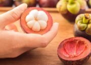 “Dosen USU Temukan Fakta Mengejutkan: Kulit Manggis Bantu Pasien Ginjal”