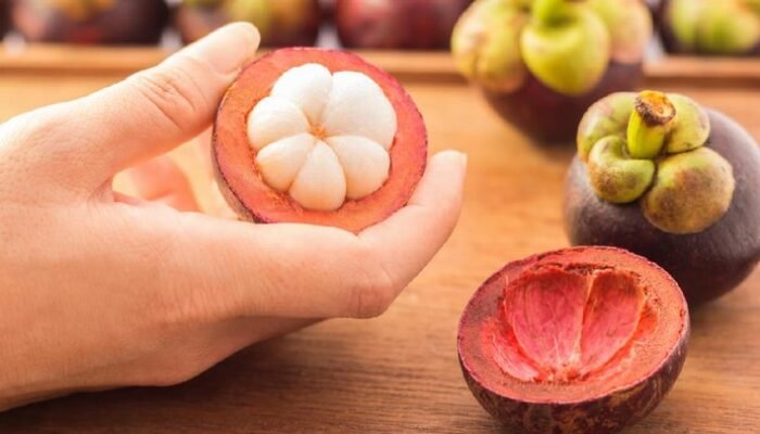 “Dosen USU Temukan Fakta Mengejutkan: Kulit Manggis Bantu Pasien Ginjal”