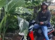 Momen Kocak Pemotor Pura-pura Beli Kembang Usai Keciduk Lawan Arah: Insight dari Sisi Teknik