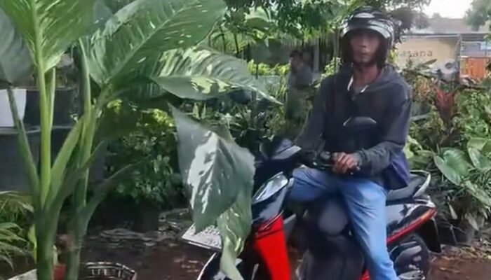 Momen Kocak Pemotor Pura-pura Beli Kembang Usai Keciduk Lawan Arah: Insight dari Sisi Teknik