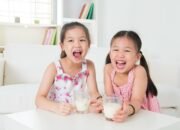 “Cegah Penyakit dengan 5 Kandungan Susu Ini untuk Anak Anda!”