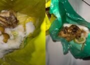 “Klarifikasi SPPG: MBG Balita dan Bumil Ditempatkan di Kantong Plastik, Fakta atau Mitos?”