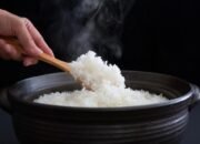 Kurangi Porsi Makan hingga ‘Skip’ Nasi Tapi BB Segitu-gitu Aja? Ini Catatan Dokter – Update 1