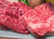 “Diet Karnivora: Kisah Tragis Awal Mula Influencer Jadi Korban Kerusakan Ginjal!”