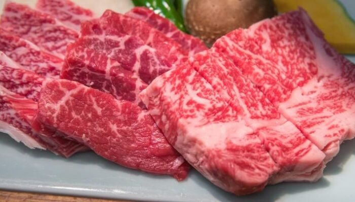 “Diet Karnivora: Kisah Tragis Awal Mula Influencer Jadi Korban Kerusakan Ginjal!”