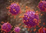 Dinkes Kepri Tunggu Hasil Lab ‘Super Flu’, Pasien Batam Dalam Perawatan