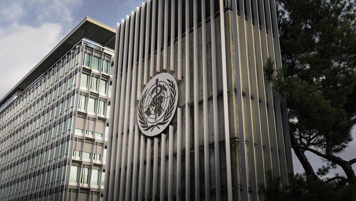 WHO Cabut Status Bebas Campak Inggris usai Catat Lonjakan Ribuan Kasus - Update 1