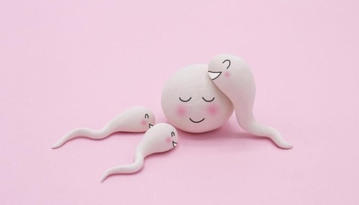 “Cerita Mengejutkan: Pria Ini Jadi Yang Pertama di Dunia Jalani Transplantasi Sel Punca Penghasil Sperma”